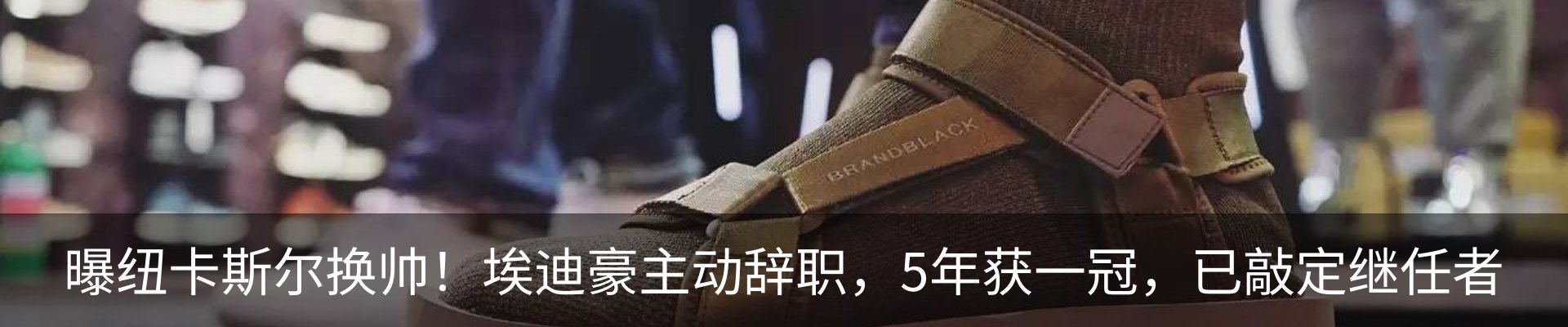 最新动态