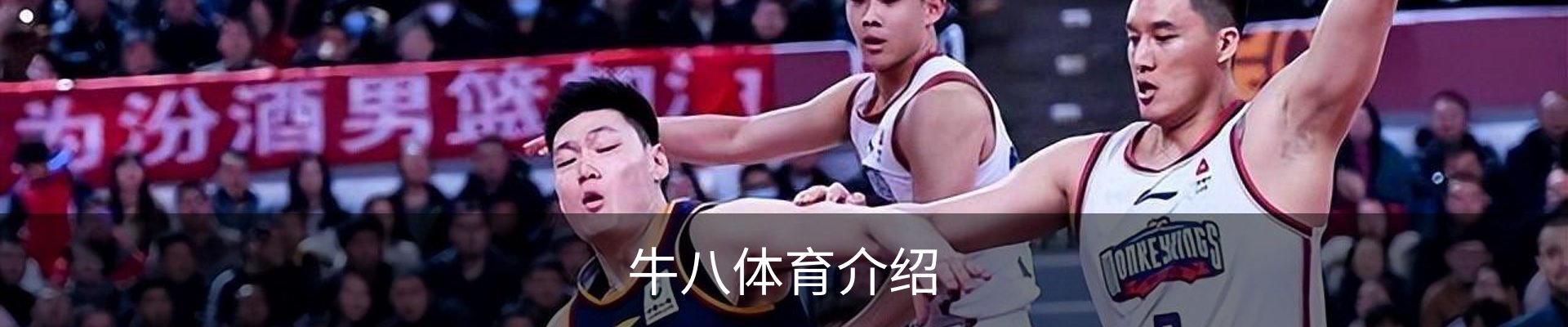 牛八体育介绍